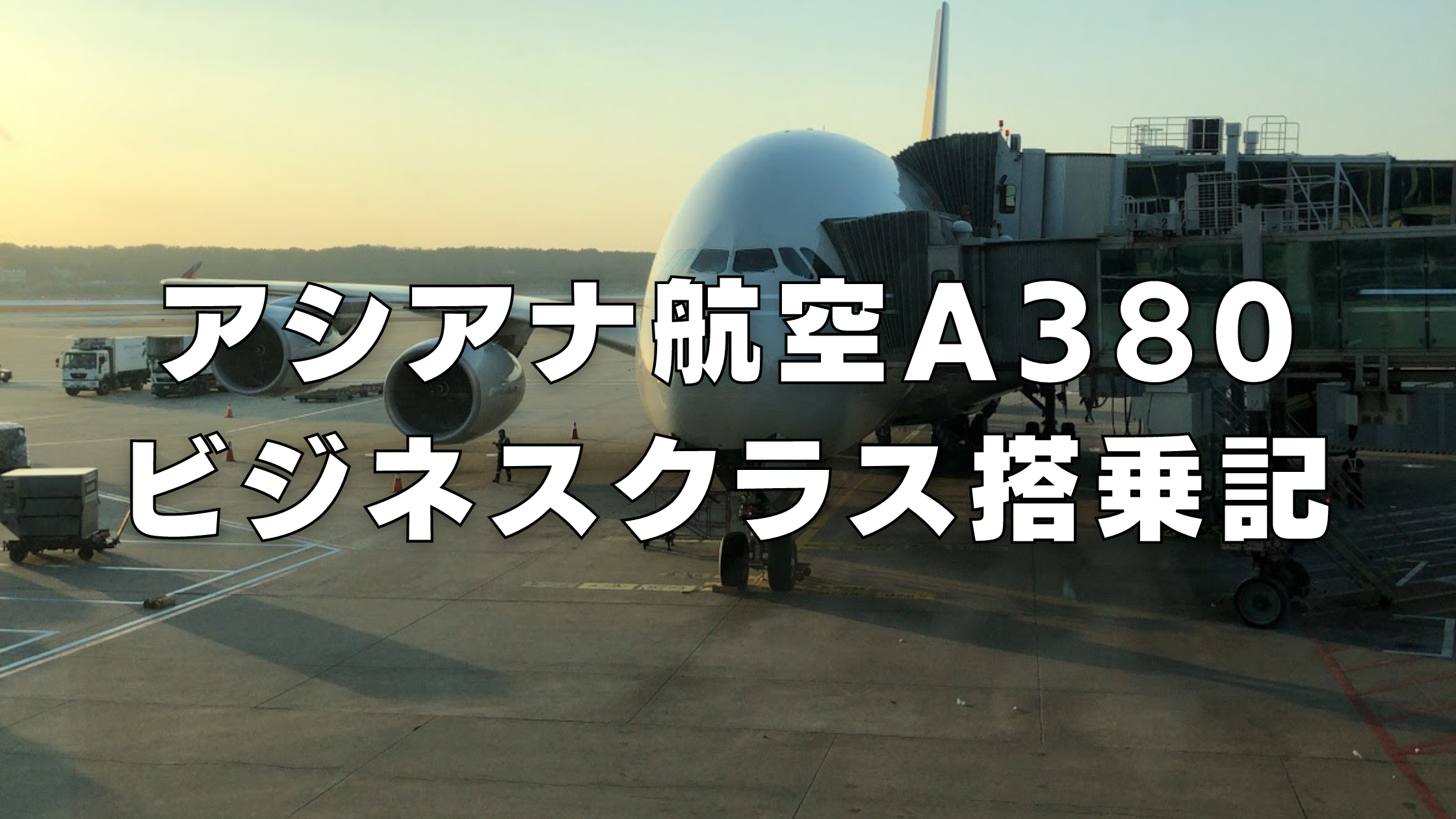 【2023年】アシアナ航空ビジネスクラス搭乗記｜成田→ソウル線